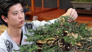 Bonsai demo by Masashi Hirao [upl. by Meehahs]