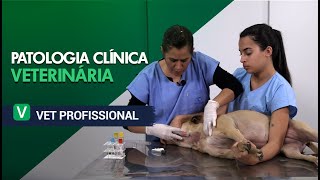 Patologia Clínica Veterinária l VET Profissional [upl. by Einhpets]