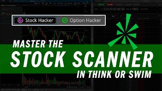 Master the Think or Swim ToS Stock Scanner  Trading Tutorials [upl. by Clemmy976]