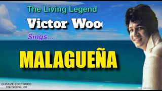 MALAGUEÑA  Victor Wood with Lyrics [upl. by Armahs]