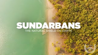 SUNDARBAN Tour  The Natural Shield on Earth  Sundarban National Park Delta  Sundarban Documentary [upl. by Odnaloy383]