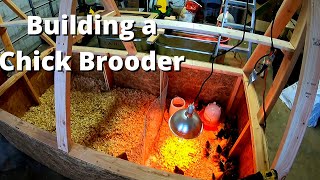 Homemade Chicken Brooder Build  Holds Over 100 Chicks [upl. by Eibbil]