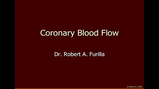 Coronary Blood Flow [upl. by Nybbor95]