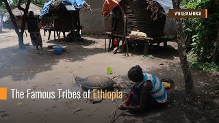 The Famous Tribes of Ethiopia [upl. by Lilak958]