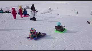 Snowy mountain toboggan snow play [upl. by Lanod]