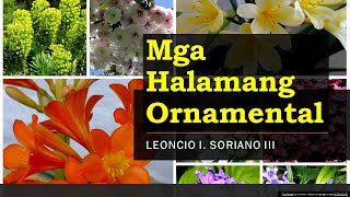 MGA HALAMANG ORNAMENTAL EPP4 [upl. by Notxed568]