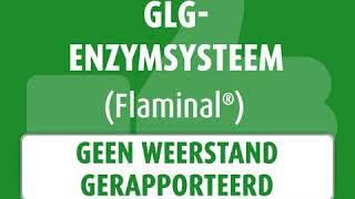 NL  Flaminal®  Antibiotic Resistance Awareness [upl. by Zahara67]