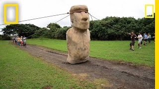 Scientists Make Easter Island Statue Walk  National Geographic [upl. by Nyltiac]