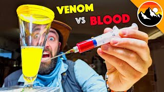 Human Blood vs Snake Venom [upl. by Arema]