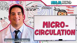 Cardiovascular  Microcirculation [upl. by Arhas]