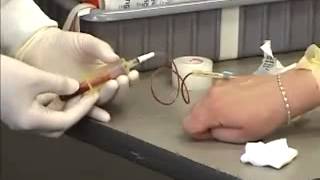 Venipuncture Procedure  Butterfly [upl. by Etiuqram]