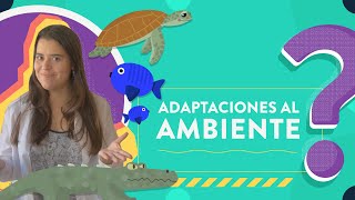 Adaptaciones al ambiente [upl. by Oza]