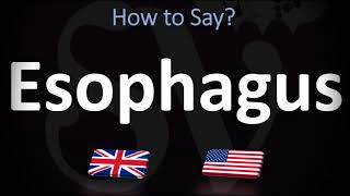 How to Pronounce Esophagus CORRECTLY [upl. by Cyrano]