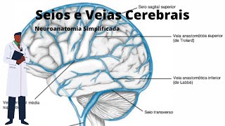 Seios venosos e veias cerebrais  Neuroanatomia simplificada  Ângelo Machado [upl. by Yddub]