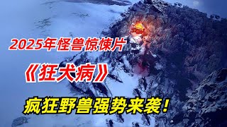 【阿奇】森林野兽感染狂犬病毒，疯狂奔袭人类小镇2025年怪兽惊悚片《狂犬病》 [upl. by Egroeg]