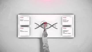 How CRISPR Cas9 works animation explained in 1 minute [upl. by Boland]