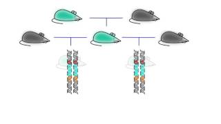 CRISPR Technology  Genetic Engineering  Full Biotechnology Documentary [upl. by Diella]