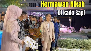 HERMAWAN SETIA FARM MENIKAH DI KADO SAPI [upl. by Tsirc]