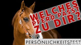 ❤️️ Welches Pferd passt zu dir Persönlichkeitstest ❤️️ [upl. by Anifad]