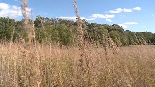 Woodburys Prairie Ridge Park [upl. by Ahsikal645]