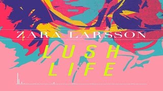 Zara Larsson  Lush Life Official Instrumental [upl. by Ainollopa]