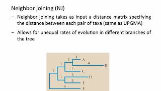 Phylogenetics  Distance Methods UPGMA NJ [upl. by Uhn31]