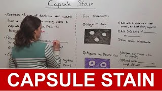 Capsule Stain [upl. by Aicinod228]