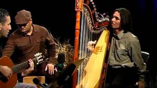 El Tren Lechero  Nicolas Carter on Paraguayan harp [upl. by Whitebook]