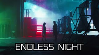 Chill Retro Synthwave  Endless Night  Royalty Free No Copyright Background Music [upl. by Suirtimid223]