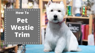 Westie Pet Trim  with Master Groomer [upl. by Mellen]