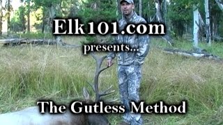 Elk101coms Gutless Method for Field Processing an Elk [upl. by Atinas]