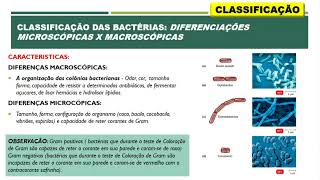 AULA 02 Citologia bacteriana [upl. by Ajnat]