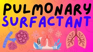 The Respiratory System Pulmonary Surfactant [upl. by Teragramyram]