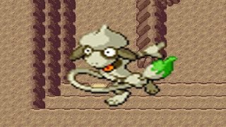 How to find Smeargle in Pokemon Emerald [upl. by Byrd]