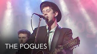 The Pogues  Waxies Dargel The Tube 11011985 [upl. by Weslee]