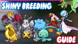 HOW TO BREED FOR SHINIES IN POKÉMON BRICK BRONZE [upl. by Hnahym]