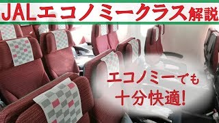 2【運賃25万円】JAL国際線 世界一のエコノミークラスに搭乗【タイ・国鉄型の旅第１日】空港第２ビル駅→スワンナブール国際空港 112202 [upl. by Mackoff838]