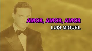 Luis Miguel  Amor amor amor Karaoke [upl. by Gracia]