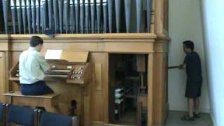 Handpumped Pipe Organ [upl. by Tound]