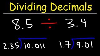 Dividing Decimals  Not So Easy [upl. by Airtemad]