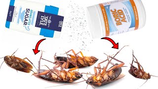 How To Kill Cockroaches With Boric Acid and Sugar [upl. by Chilt]