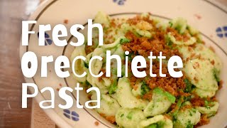 How to Make Fresh Orecchiette Pasta  Classic Italian Pasta Recipes [upl. by Benedetto]