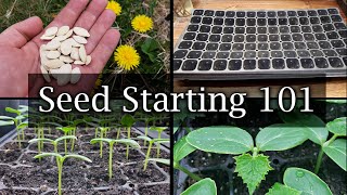 How To Start Vegetable Seeds  The Definitive Guide For Beginners [upl. by Asta]