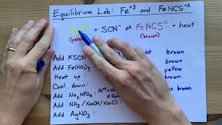 Le Chatelier Lab ANSWERS Fe3 and FeSCN2 Equilibrium [upl. by Nachison]