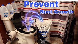 How to prevent roots from growing in main sewer line [upl. by Virgel]