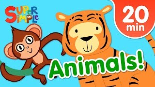 Our Favorite Animals Songs For Kids  Super Simple Songs [upl. by Genevieve512]