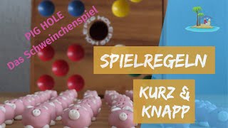 Pig Hole 🐷  das Schweinchenspiel Anleitung [upl. by Kosse]