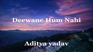 Deewane Hum Nahi  Aditya Yadav  Lyrics [upl. by Einahpets273]