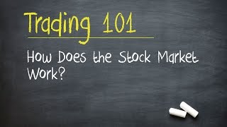 Trading 101 How Does the Stock Market Work [upl. by Hubie]