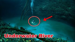 Cenote Angelita  Underwater River Mexico 🇲🇽 [upl. by Airemahs]